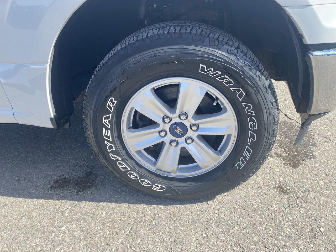 2019 Ford F-150 XLT Photo