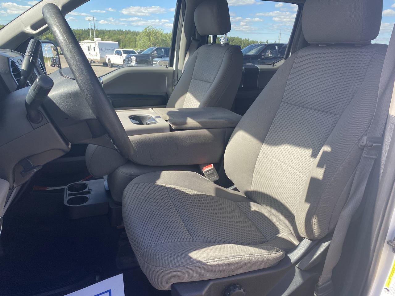 2019 Ford F-150 XLT Photo