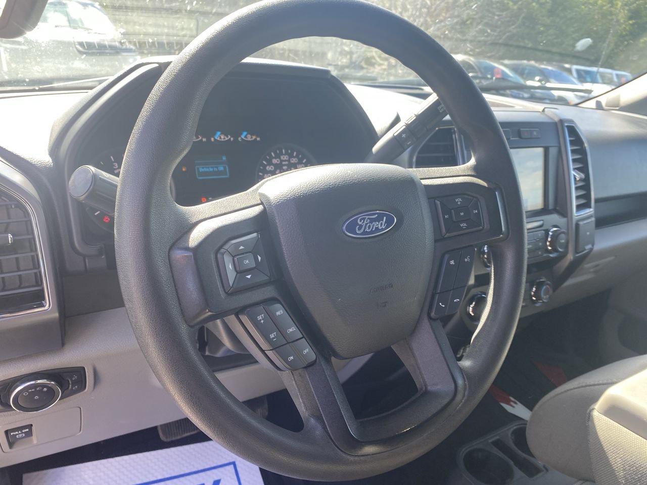 2019 Ford F-150 XLT Photo