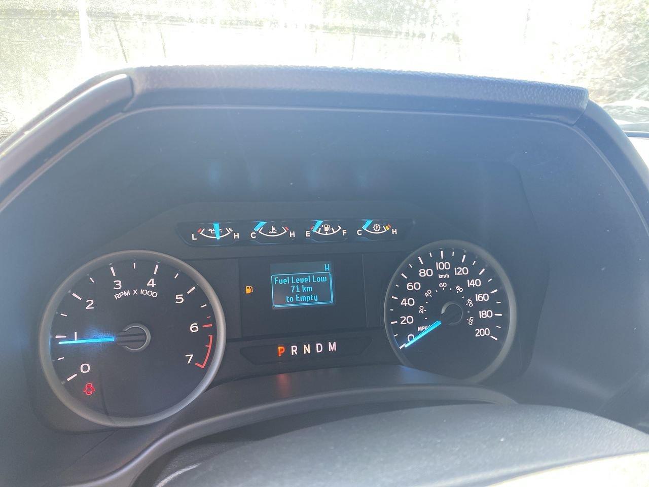 2019 Ford F-150 XLT Photo