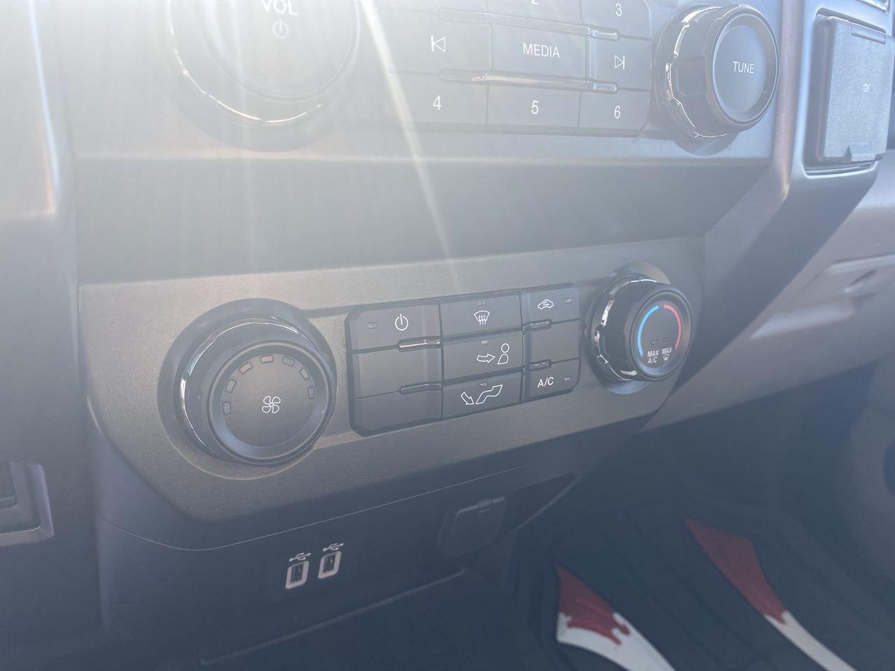 2019 Ford F-150 XLT Photo