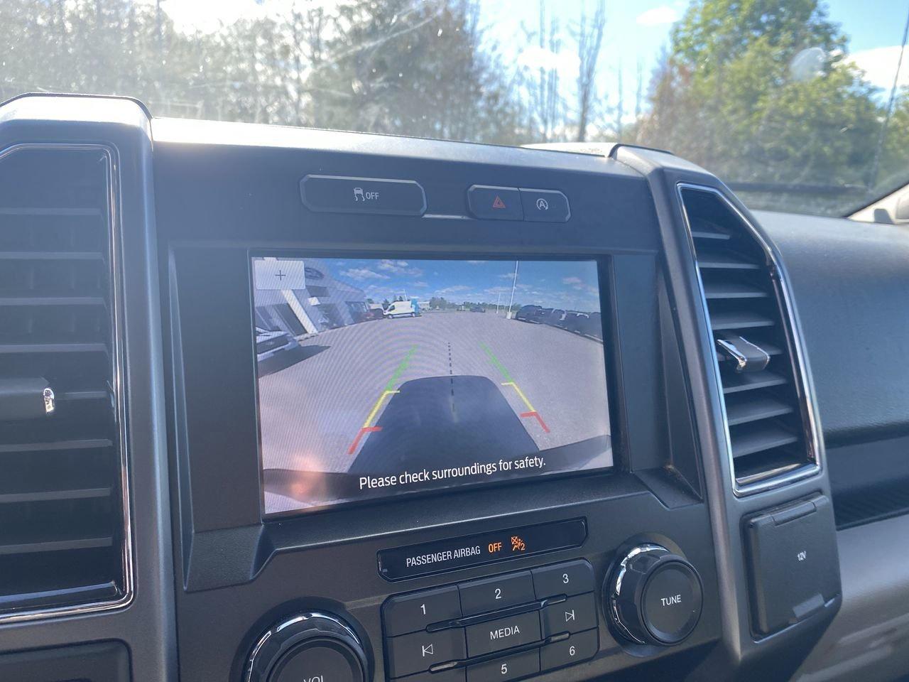 2019 Ford F-150 XLT Photo