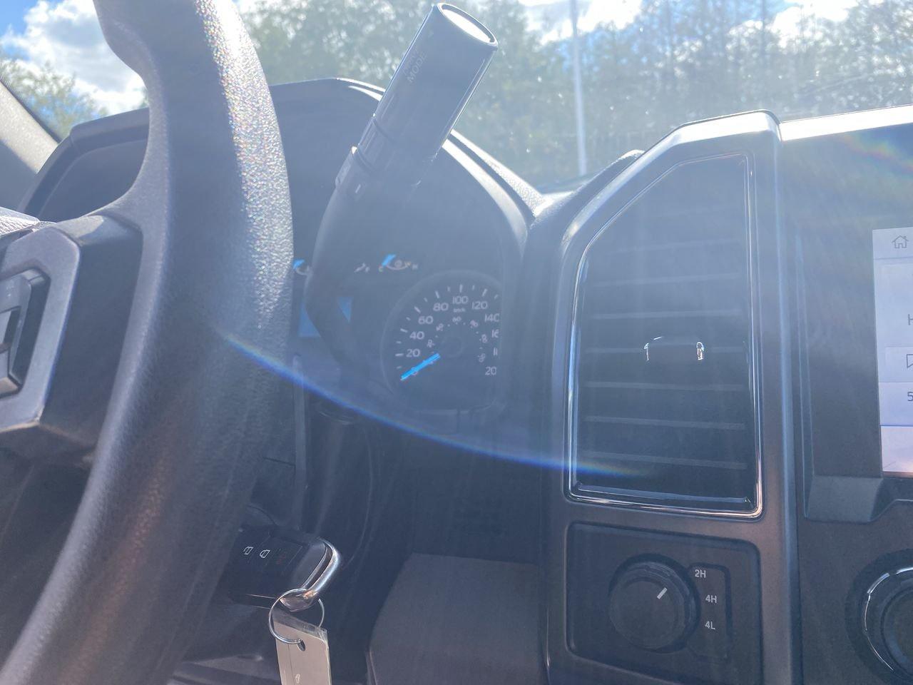2019 Ford F-150 XLT Photo