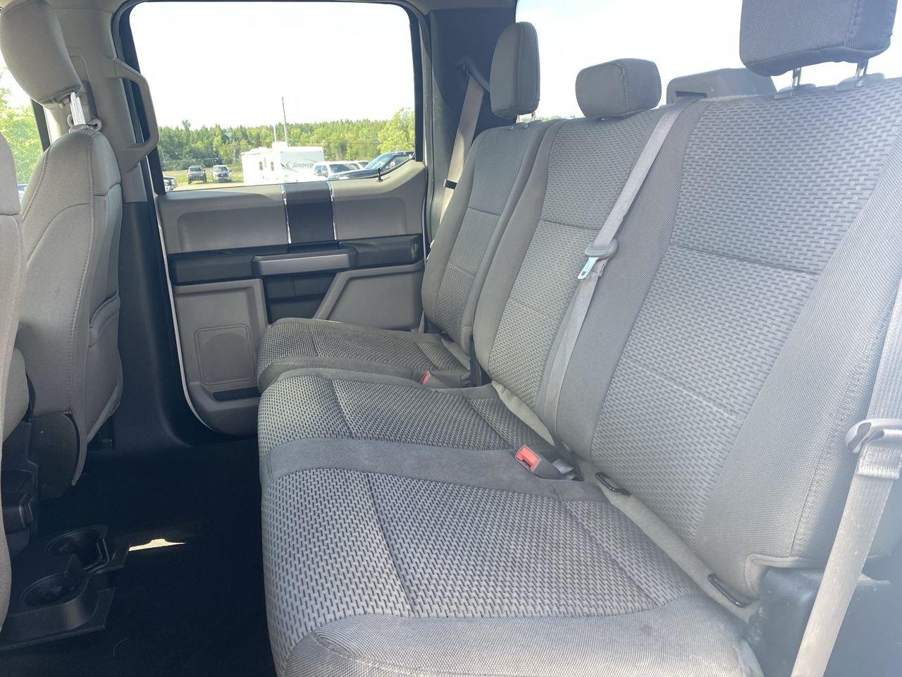2019 Ford F-150 XLT Photo