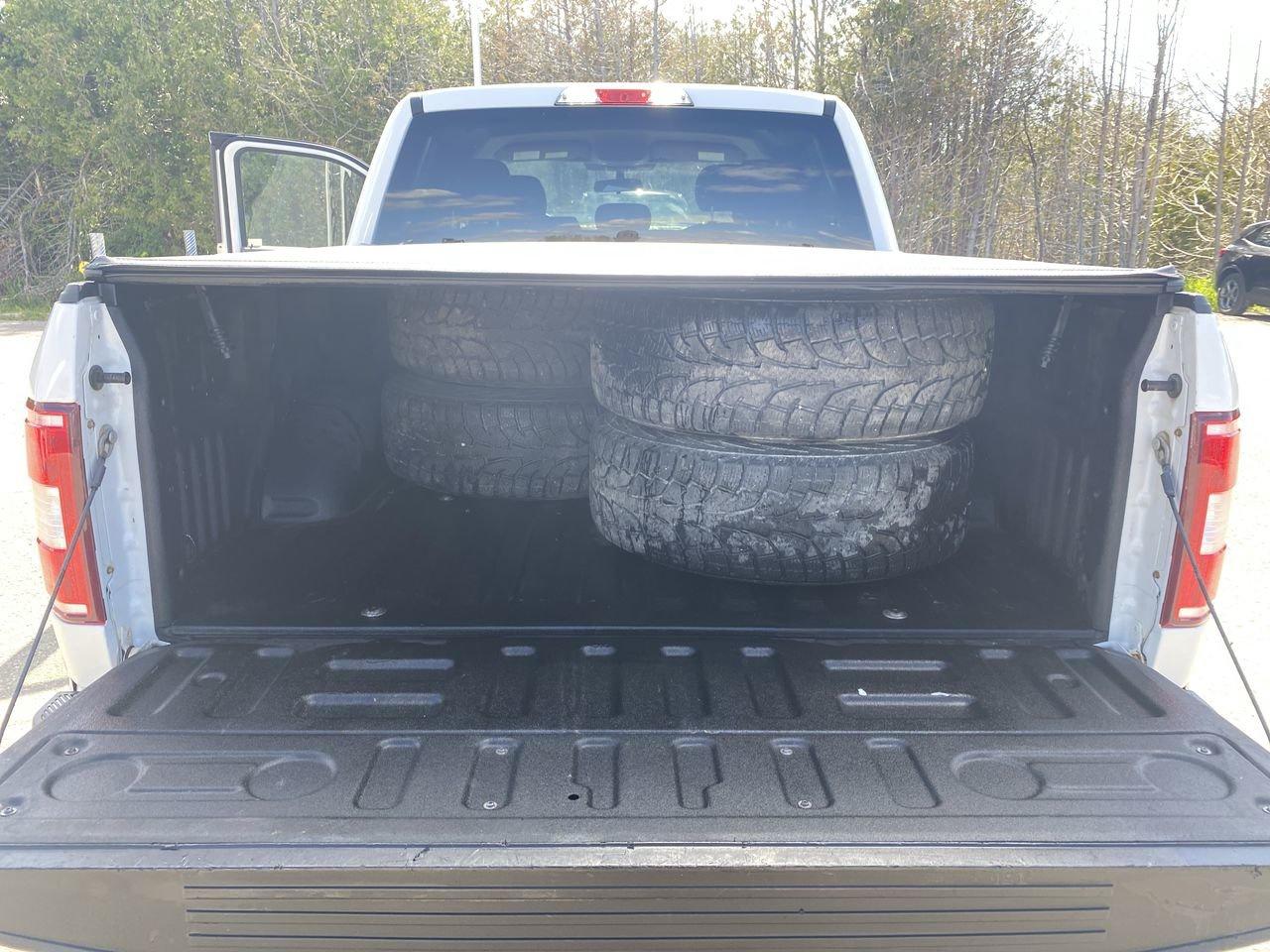 2019 Ford F-150 XLT Photo