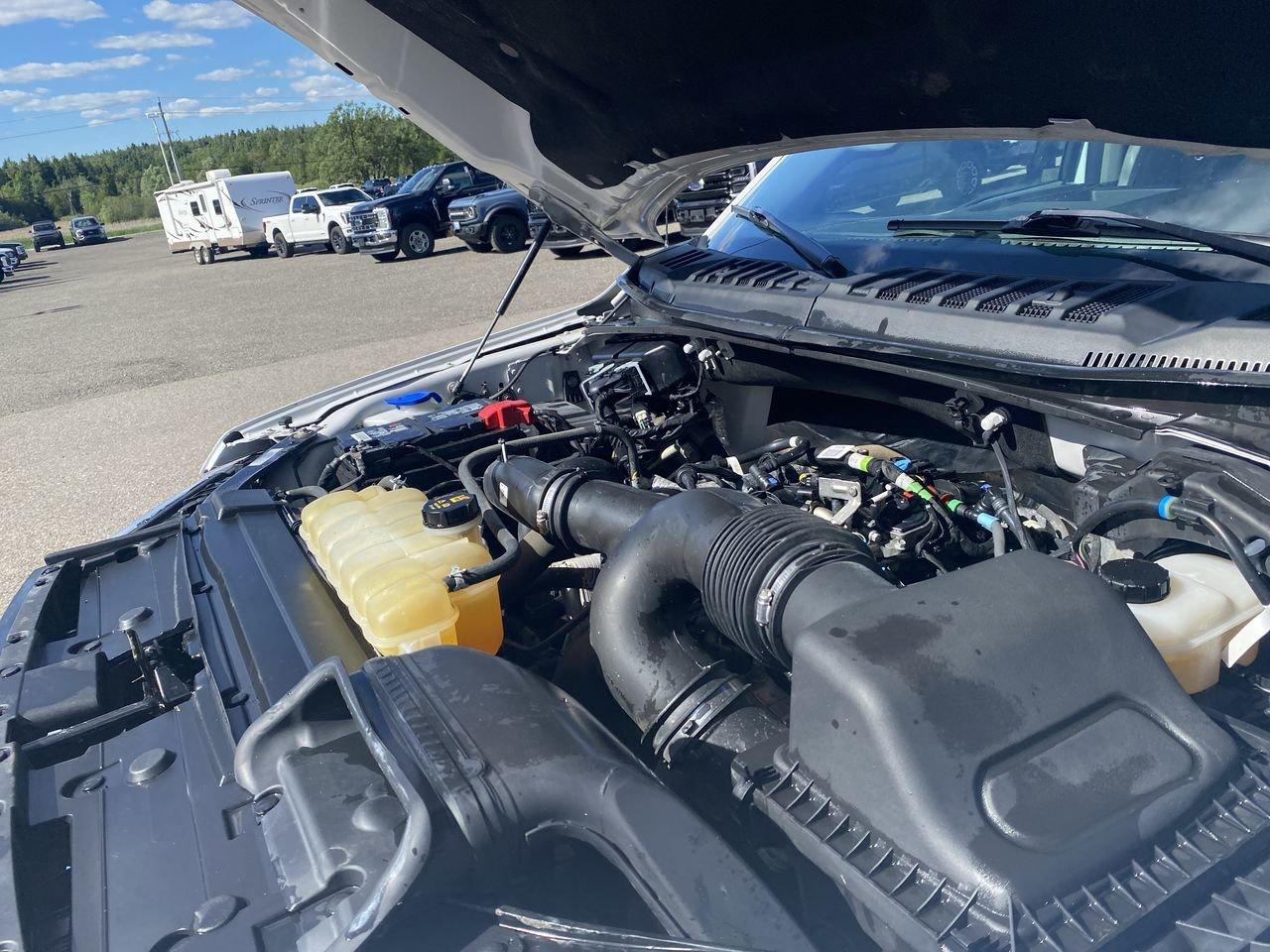 2019 Ford F-150 XLT Photo