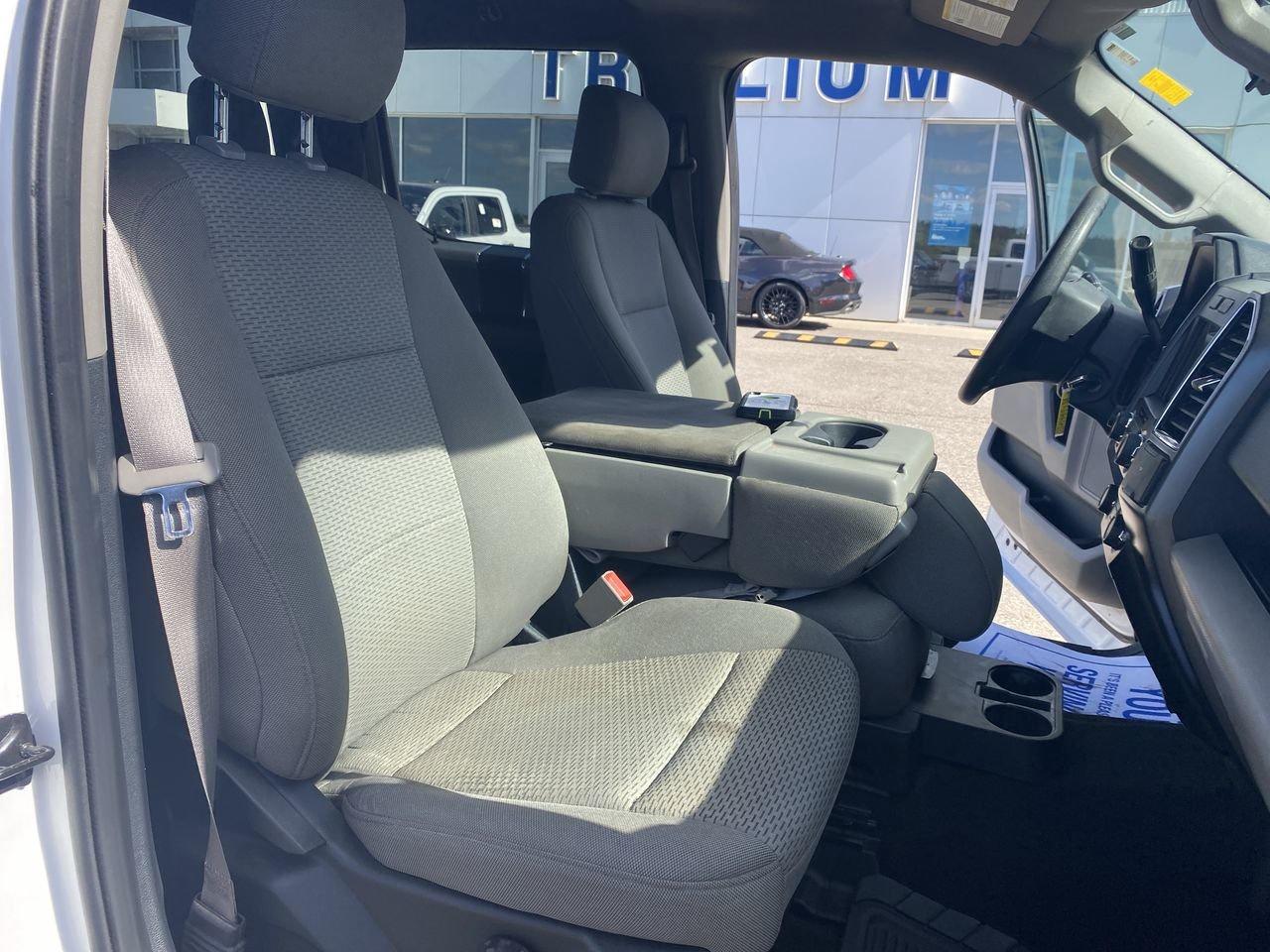 2019 Ford F-150 XLT Photo