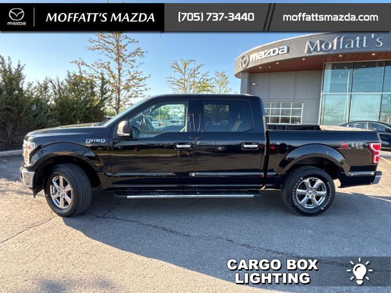 2019 Ford F-150 XLT Photo