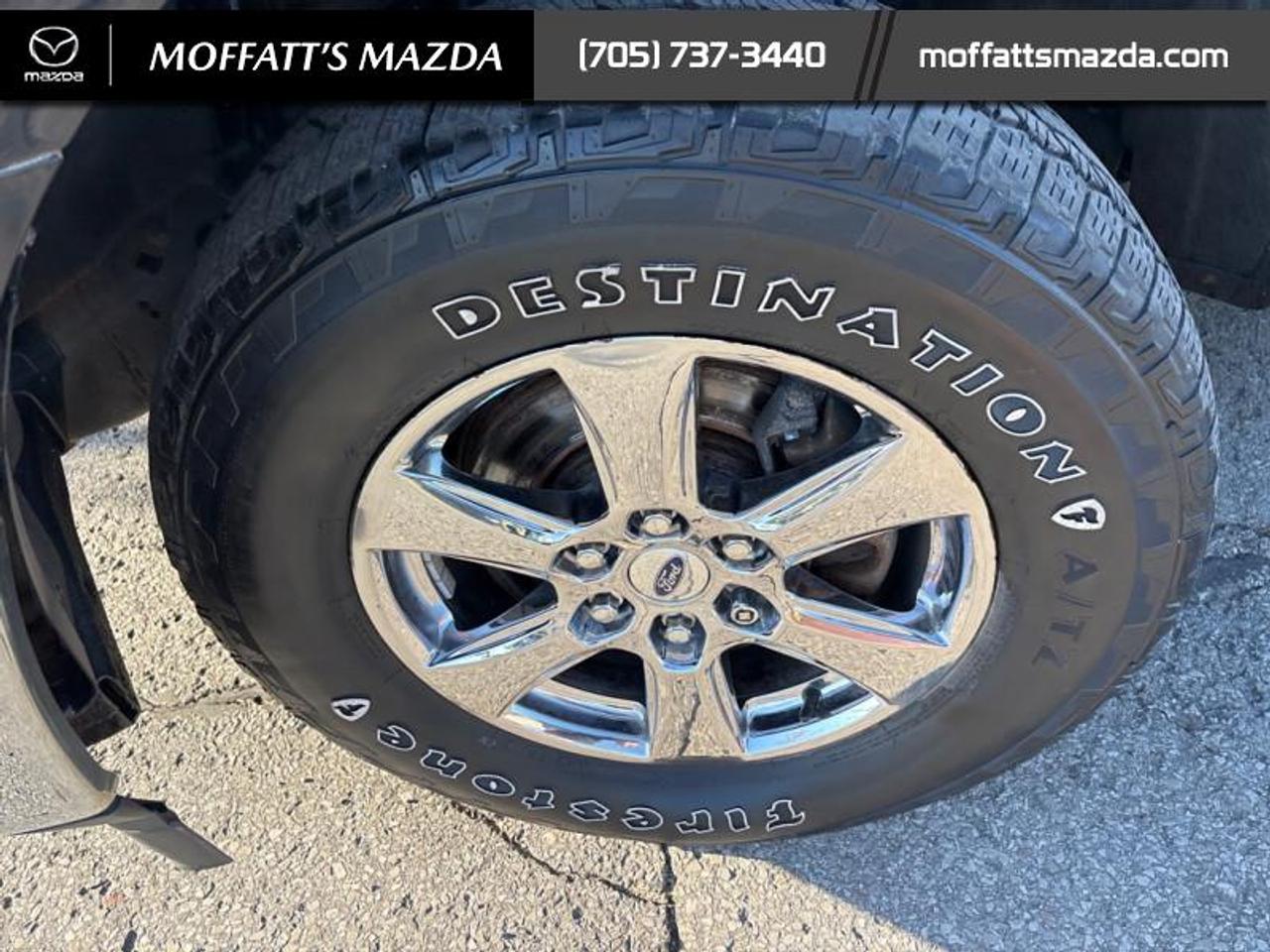 2019 Ford F-150 XLT Photo