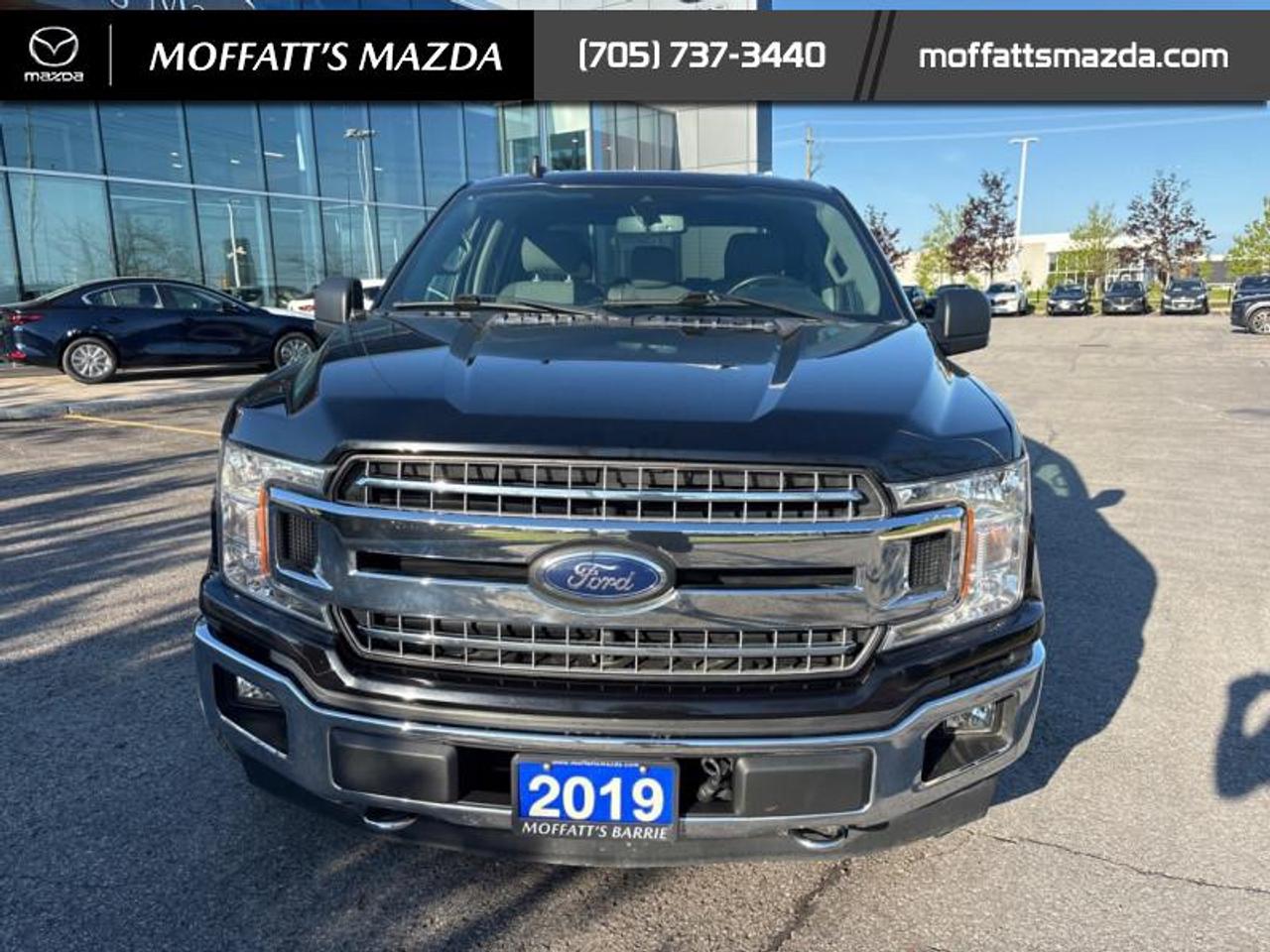 2019 Ford F-150 XLT Photo