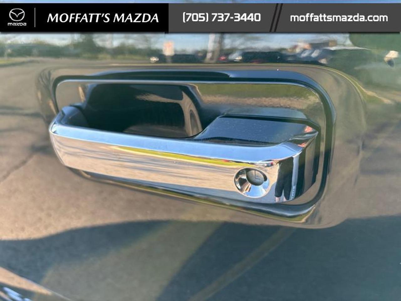 2019 Ford F-150 XLT Photo