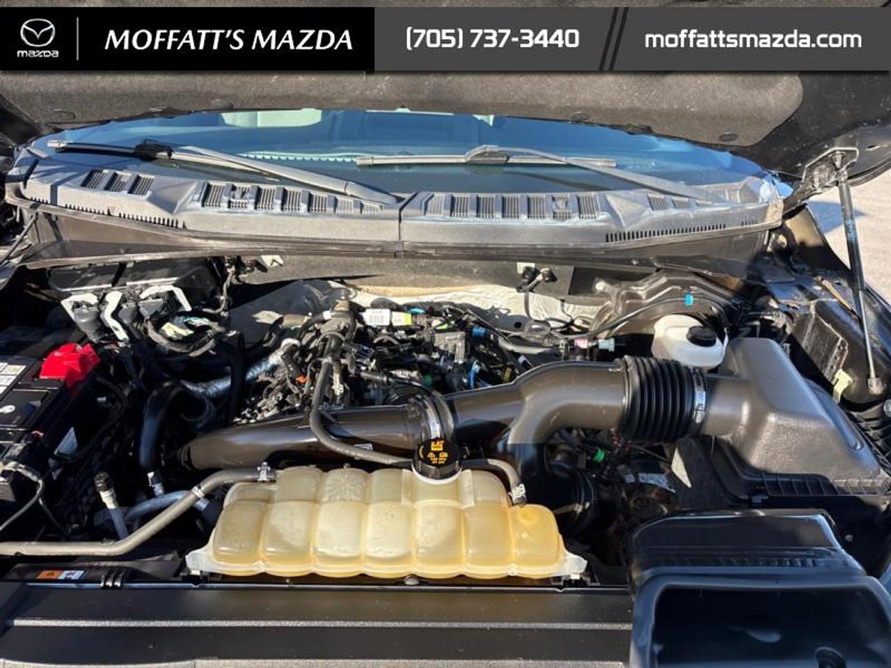 2019 Ford F-150 XLT Photo