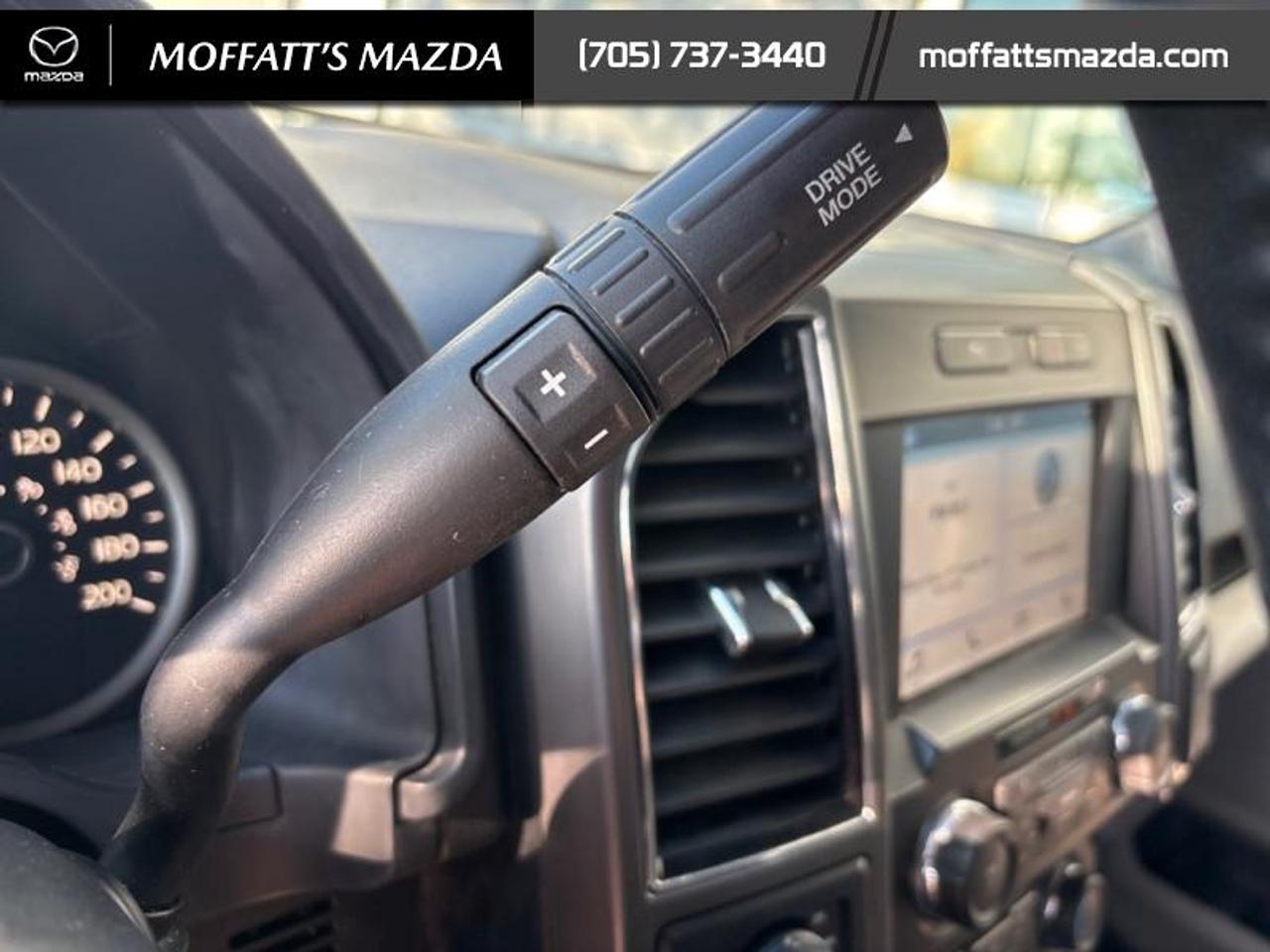 2019 Ford F-150 XLT Photo
