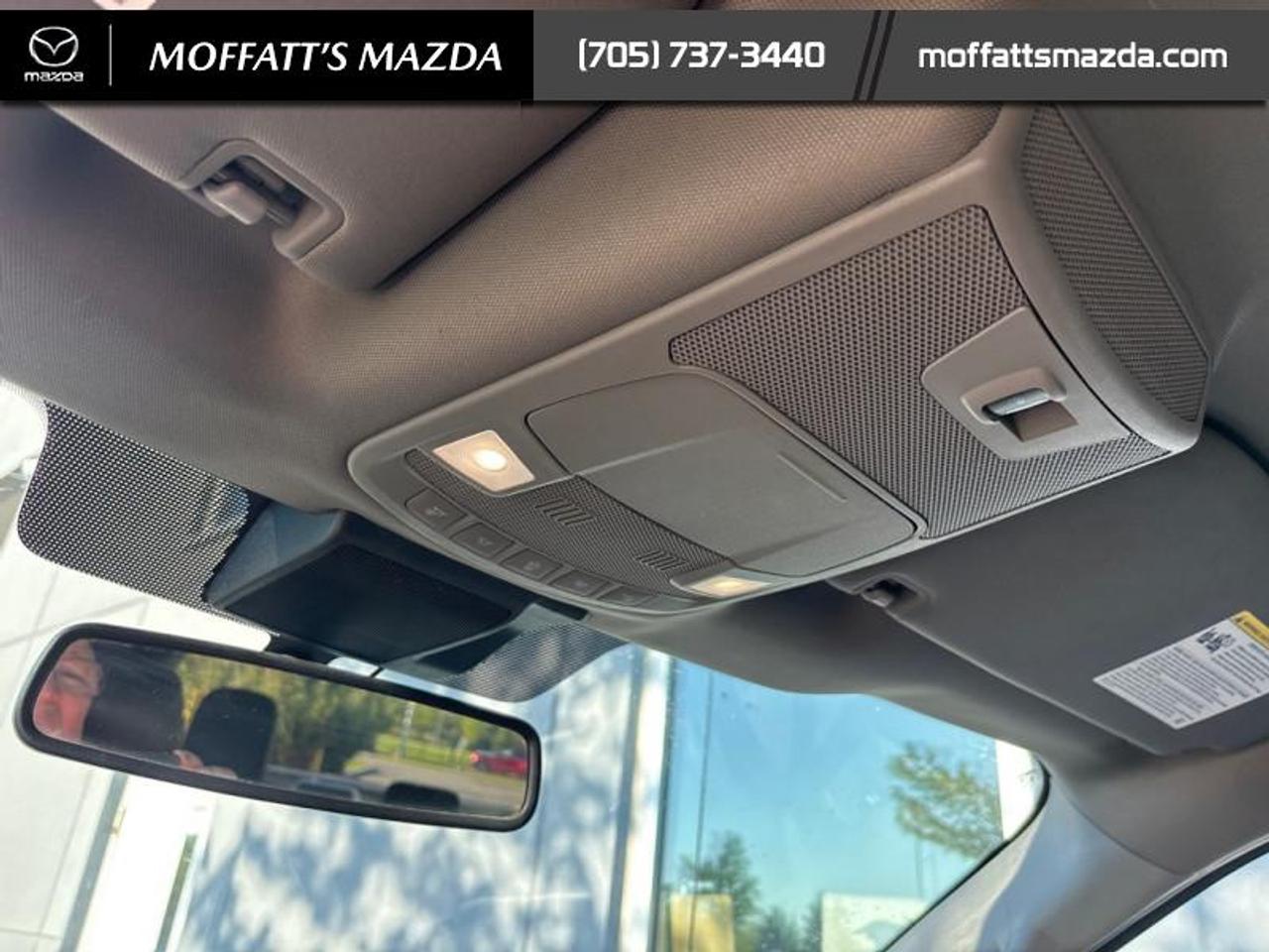 2019 Ford F-150 XLT Photo