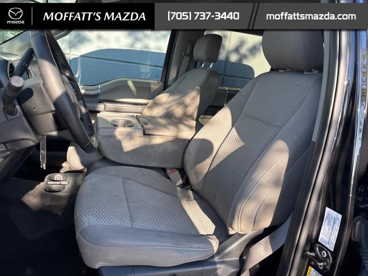 2019 Ford F-150 XLT Photo