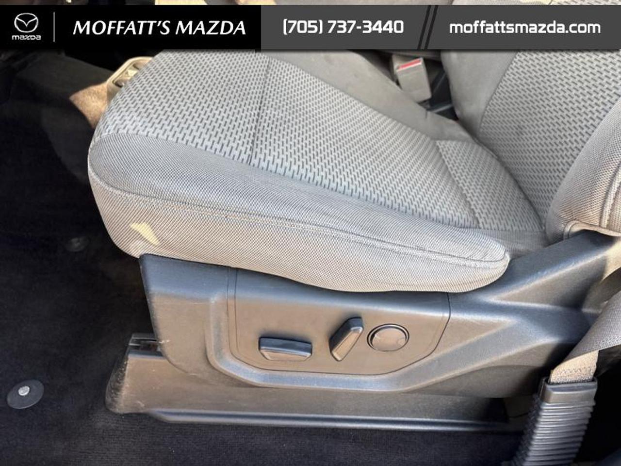 2019 Ford F-150 XLT Photo