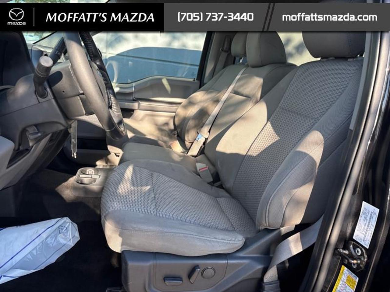 2019 Ford F-150 XLT Photo