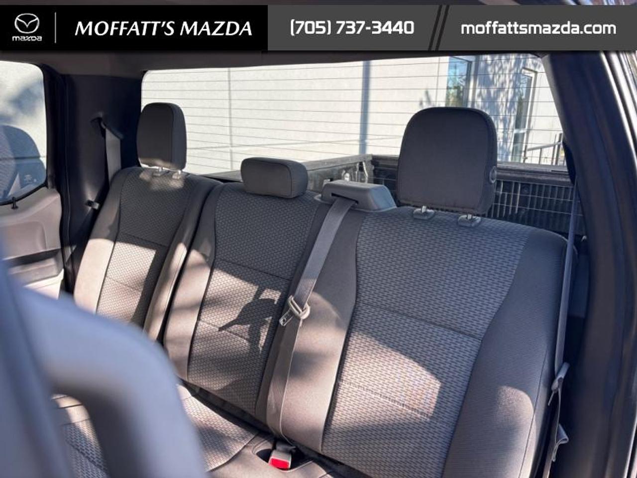 2019 Ford F-150 XLT Photo
