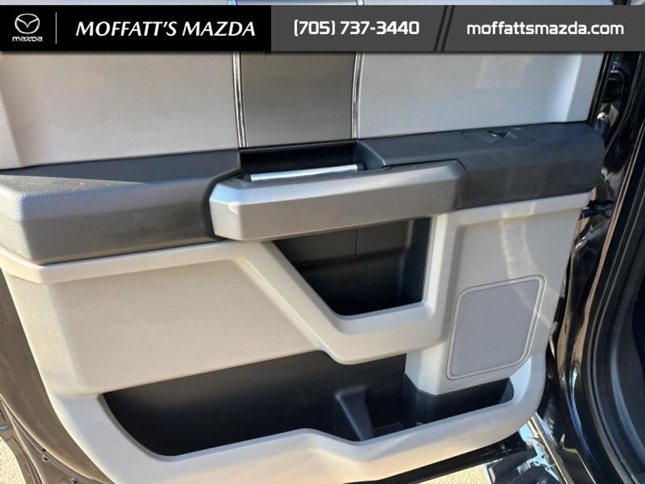2019 Ford F-150 XLT Photo