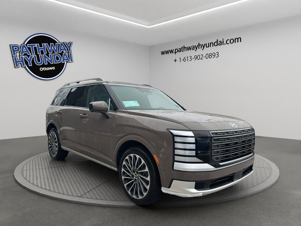 2026 Hyundai PALISADE Ultimate Calligraphy Photo0