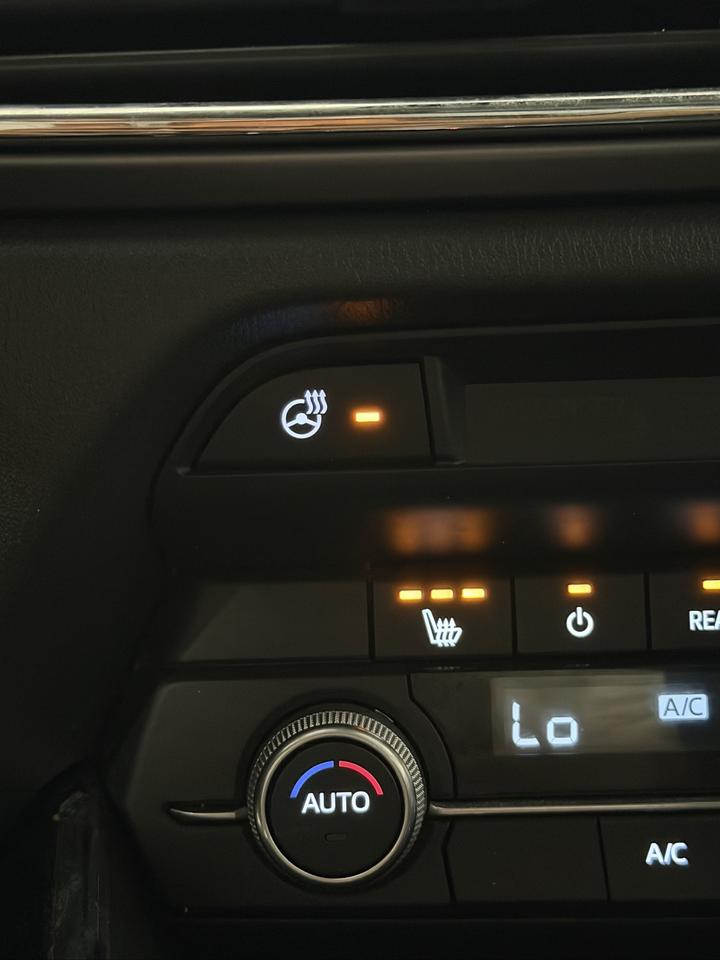 2022 Mazda CX-9 GS Photo