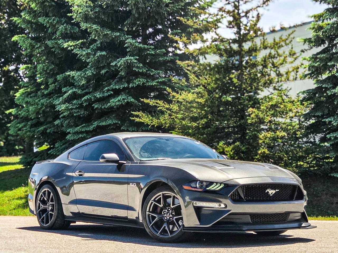 2019 Ford Mustang GT Premium Photo