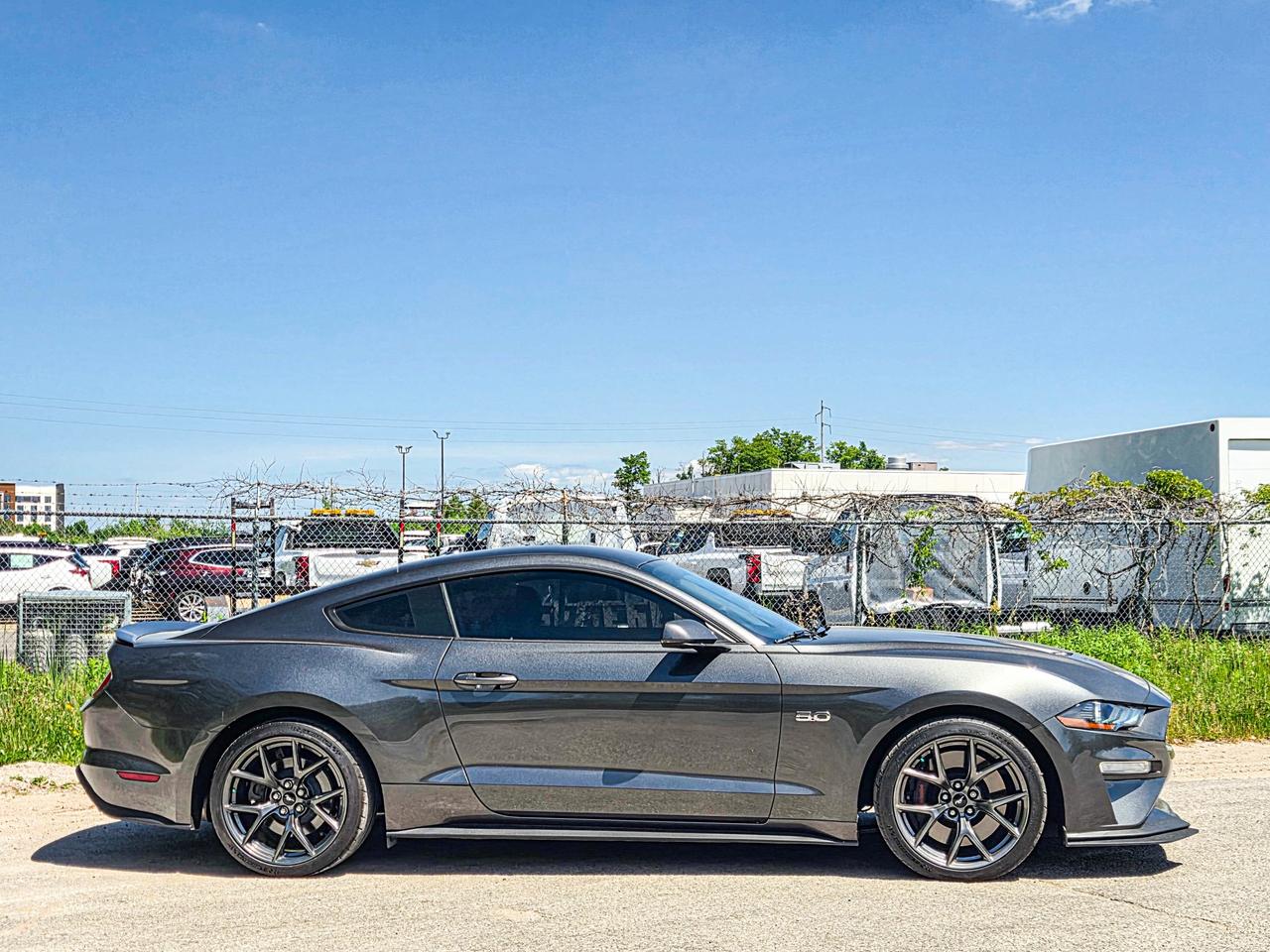 2019 Ford Mustang GT Premium Photo