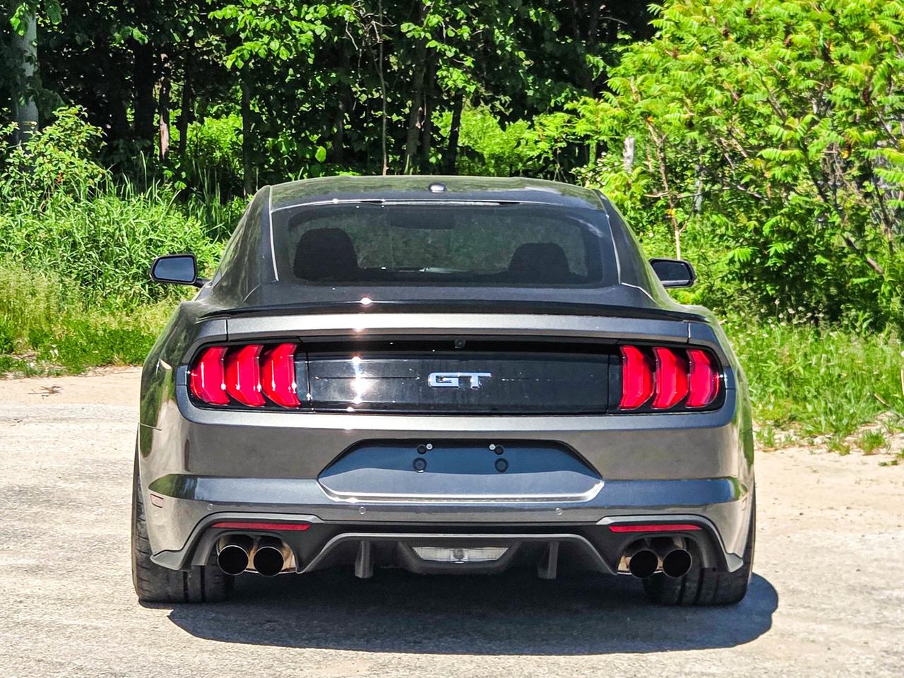 2019 Ford Mustang GT Premium Photo