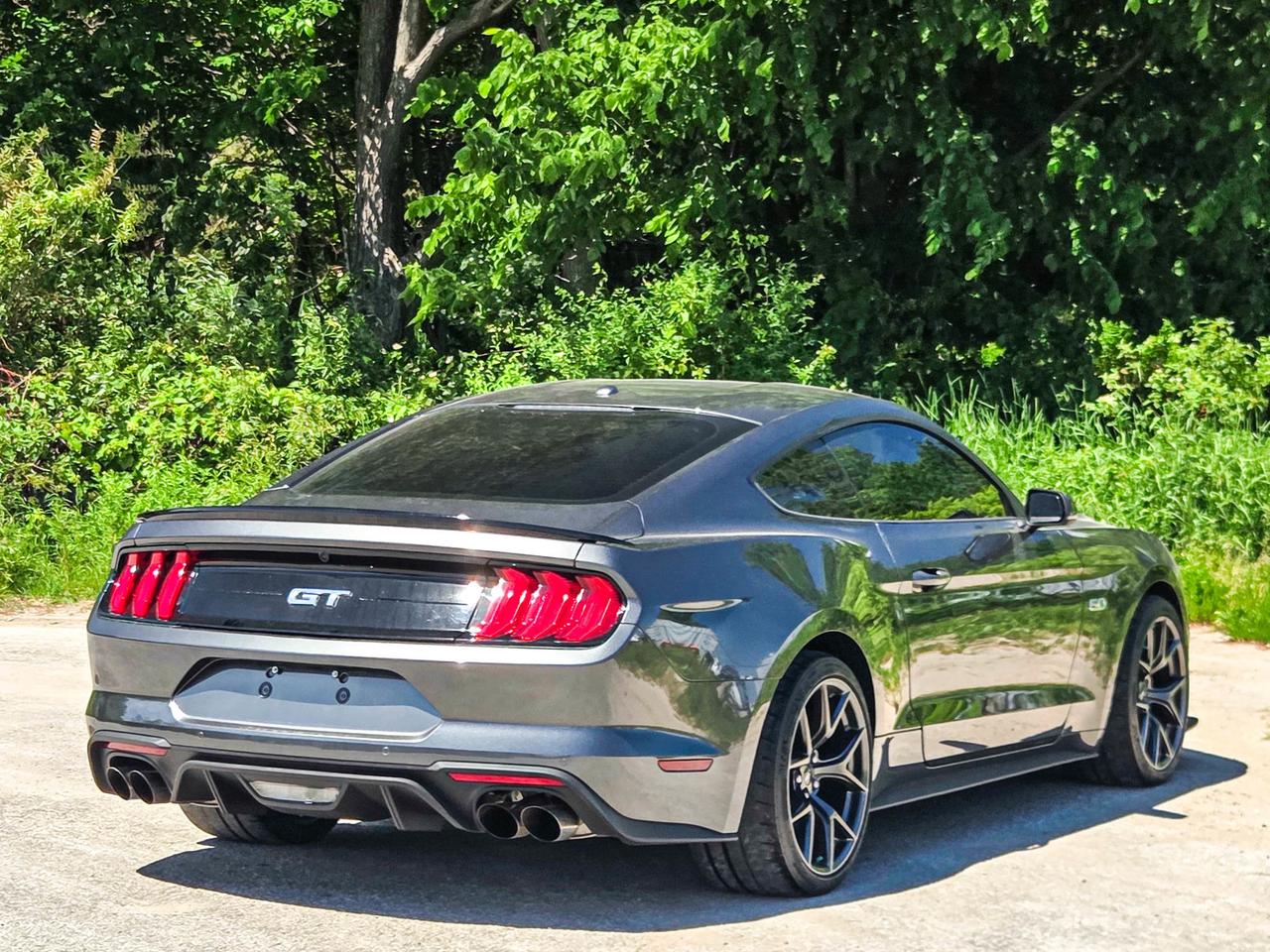 2019 Ford Mustang GT Premium Photo