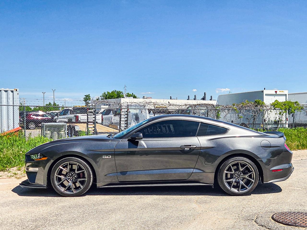 2019 Ford Mustang GT Premium Photo