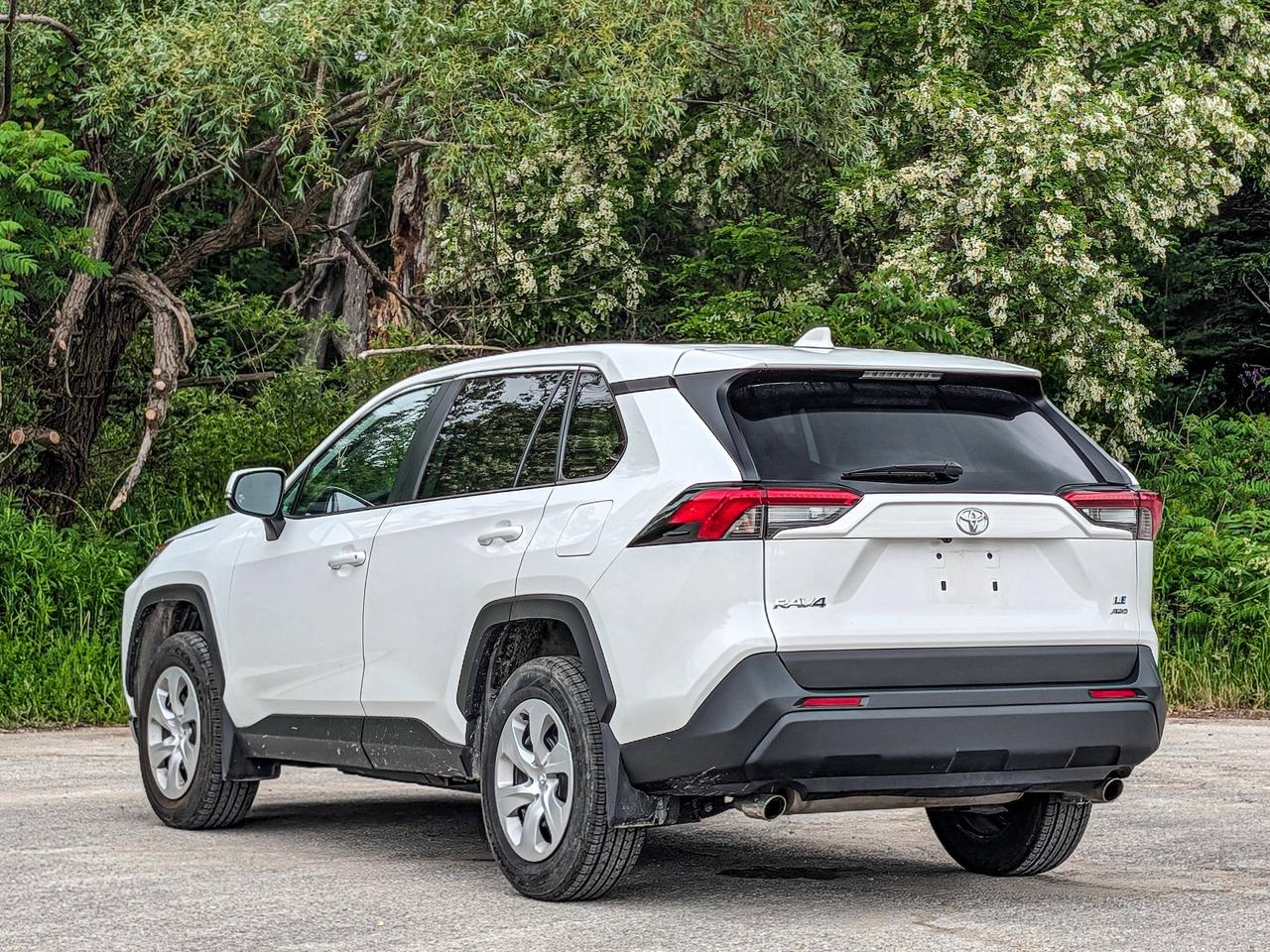 2024 Toyota RAV4 LE Photo