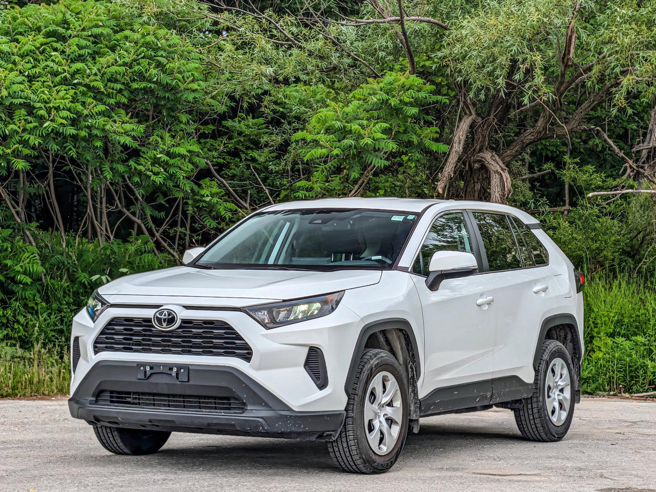 2024 Toyota RAV4 LE Photo