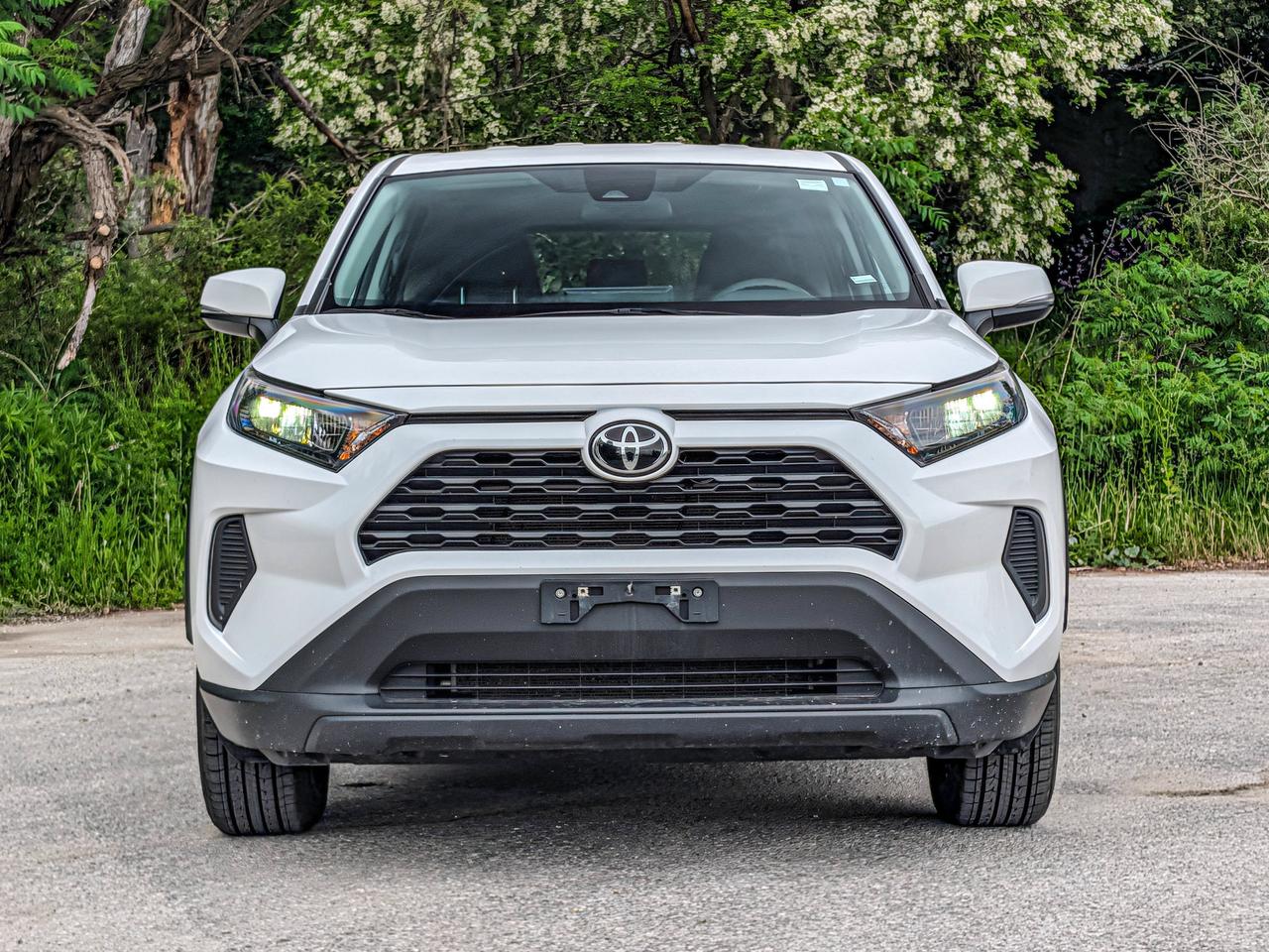 2024 Toyota RAV4 LE Photo