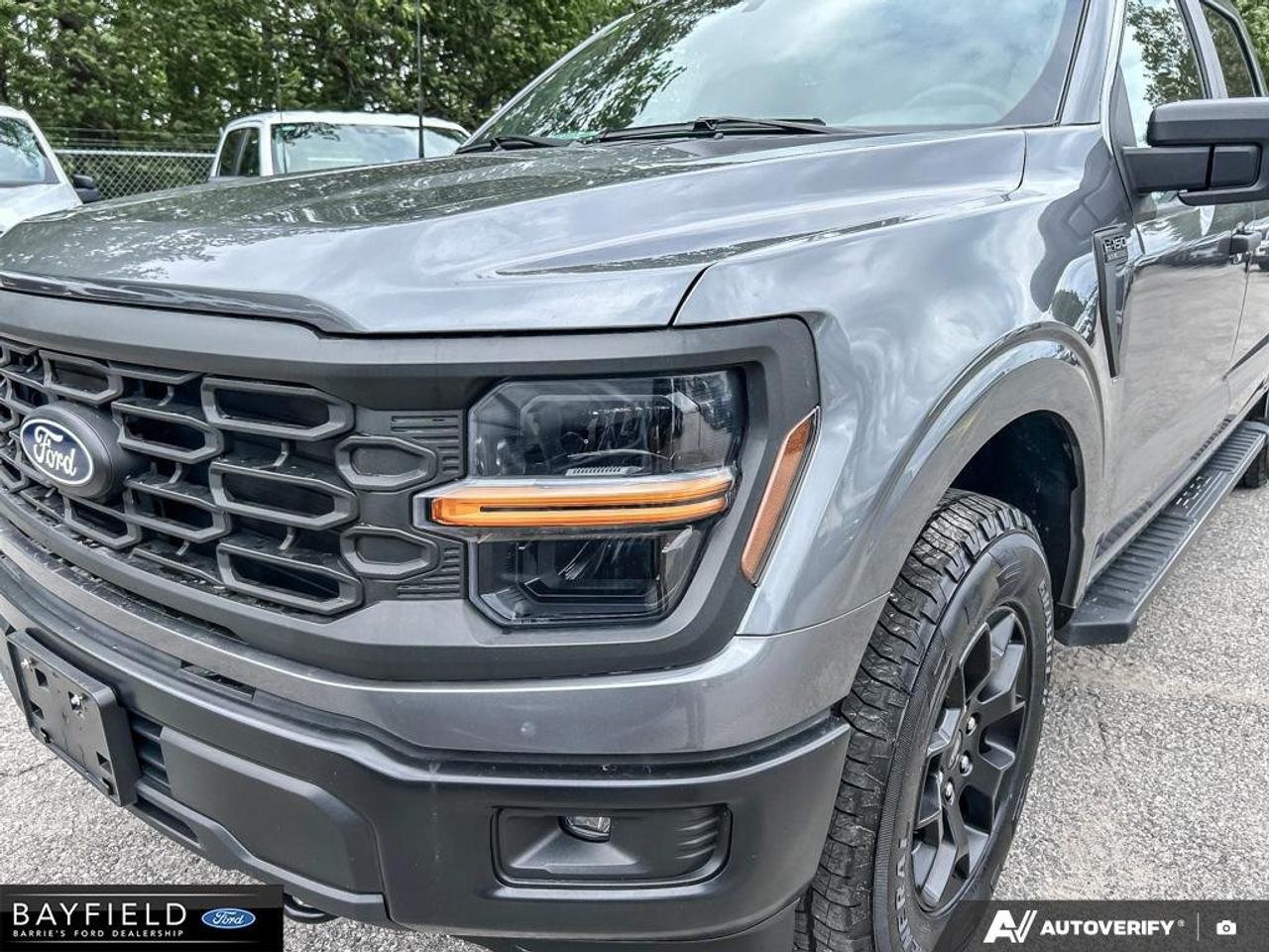 2024 Ford F-150 STX Photo