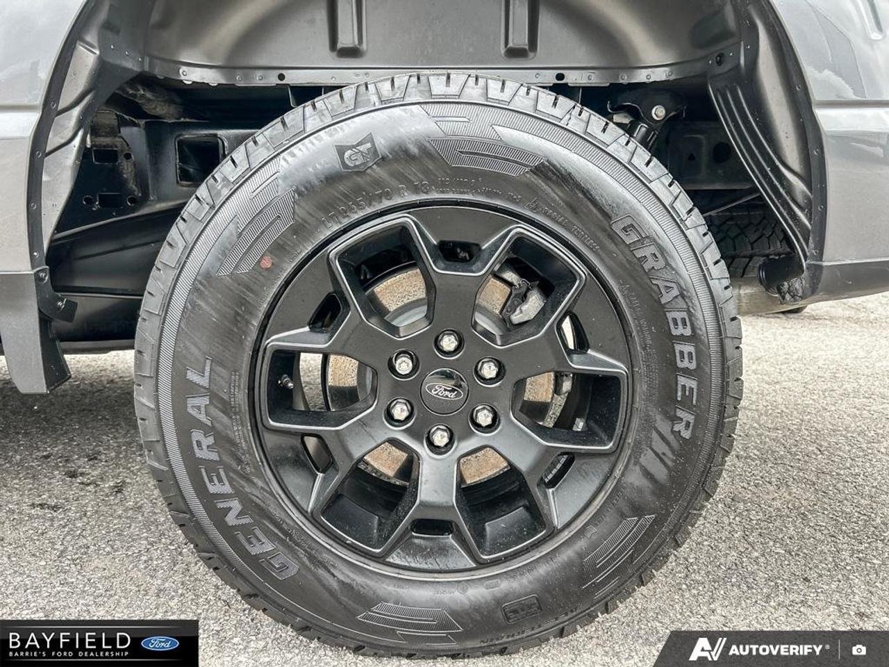 2024 Ford F-150 STX Photo