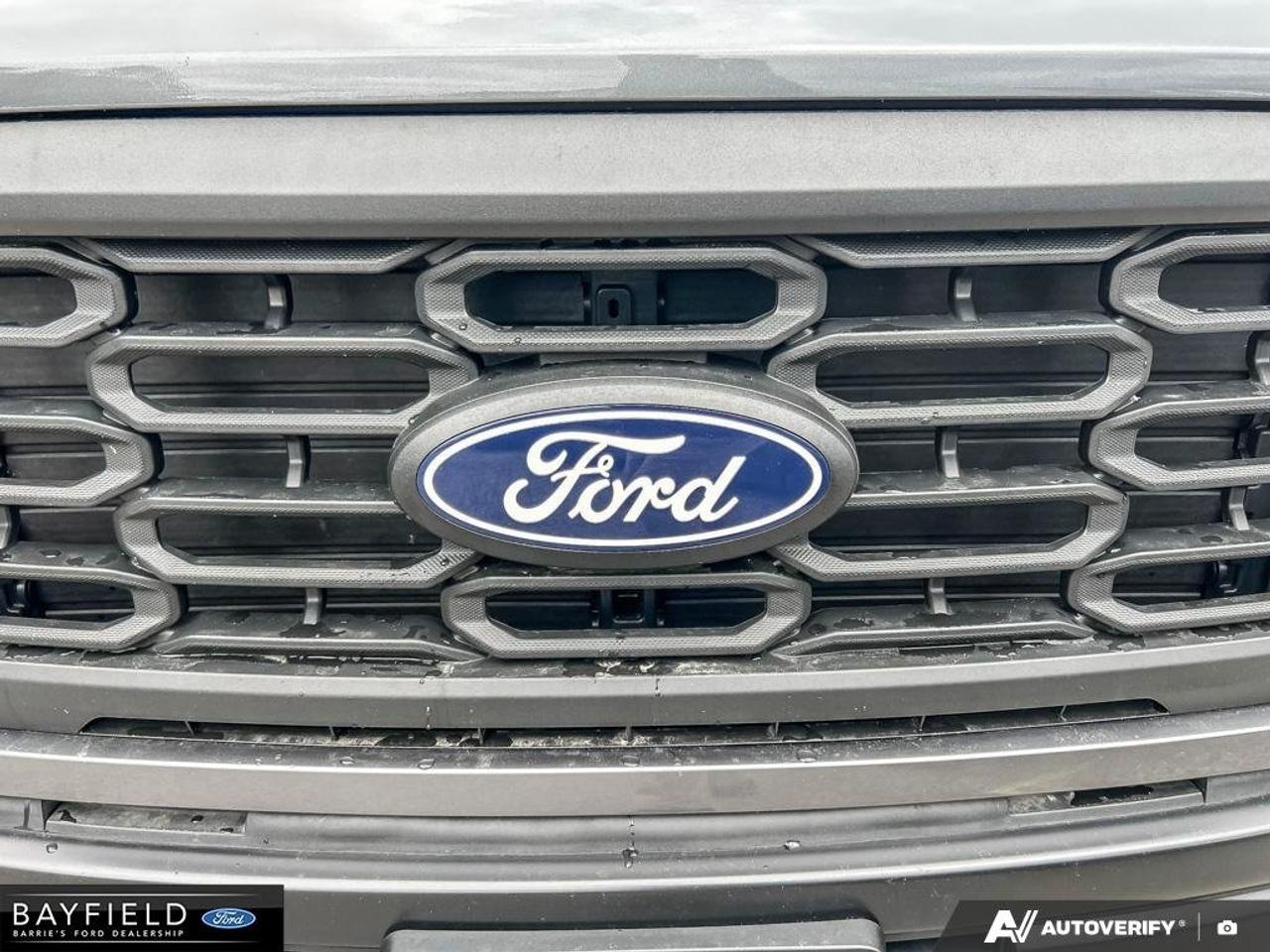2024 Ford F-150 STX Photo