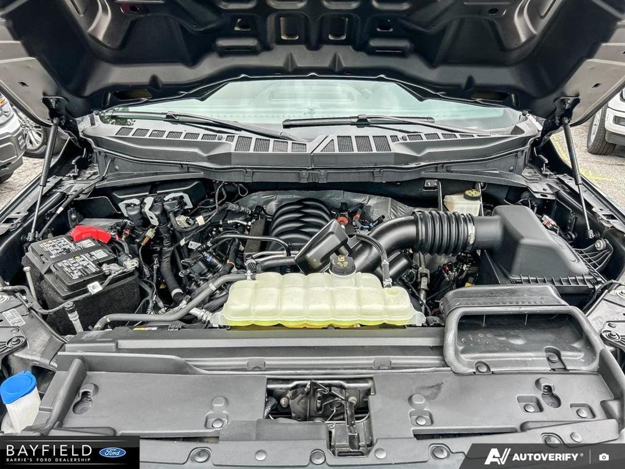 2024 Ford F-150 STX Photo