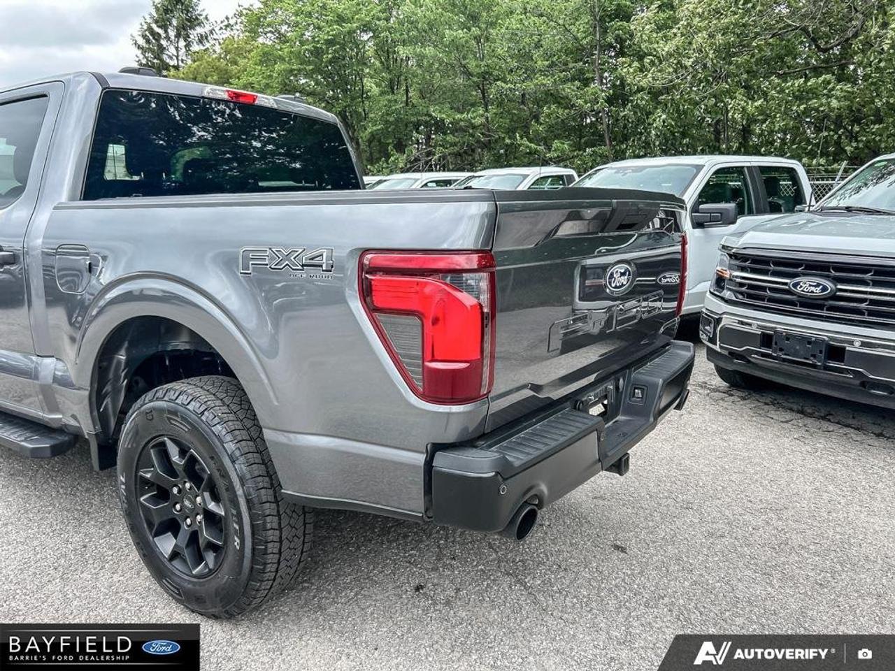 2024 Ford F-150 STX Photo