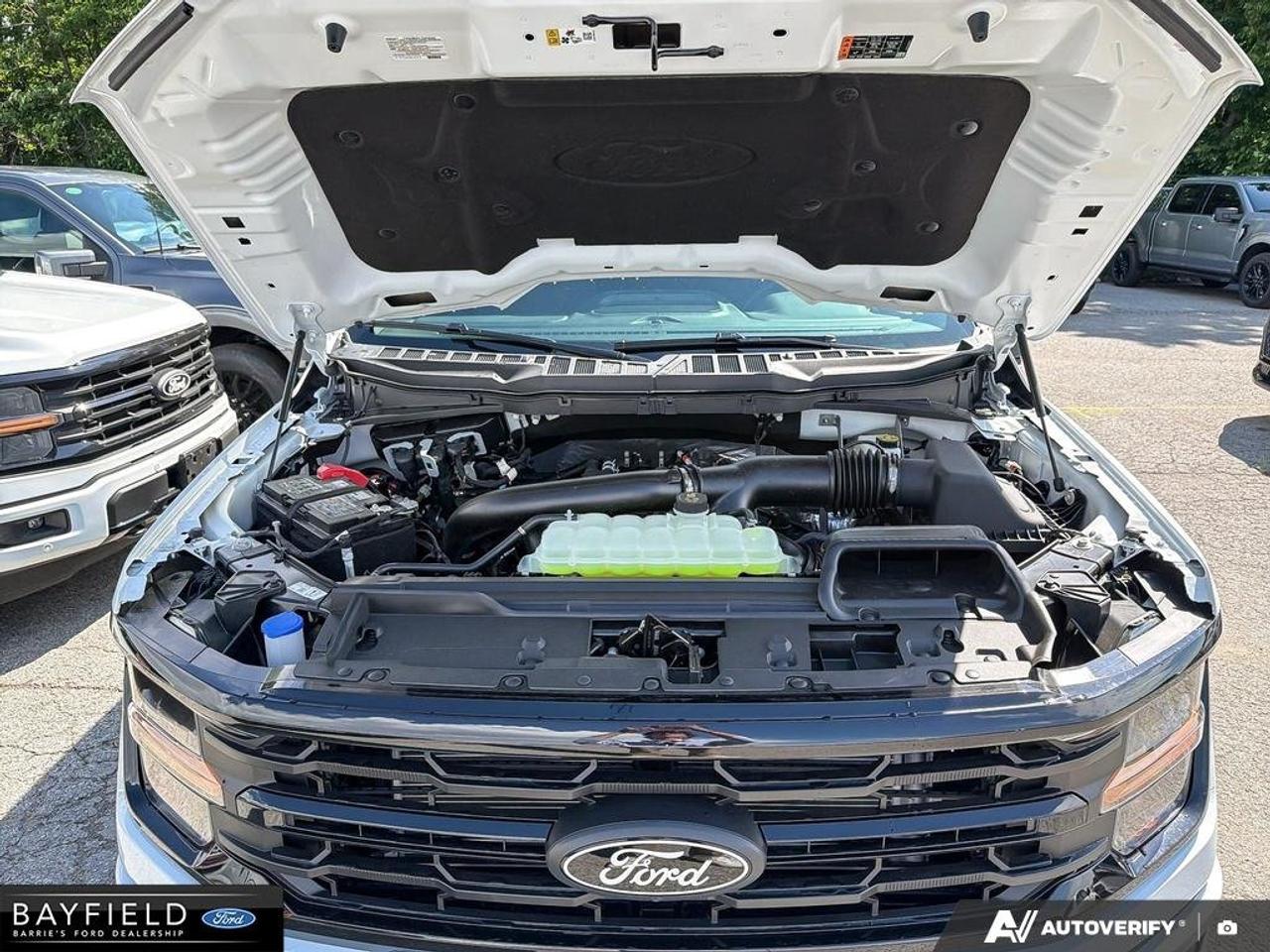 14239616