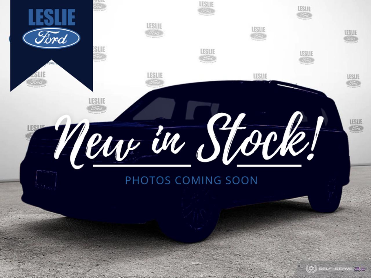 Used 2019 Ford Flex SEL AWD for sale in Harriston, ON