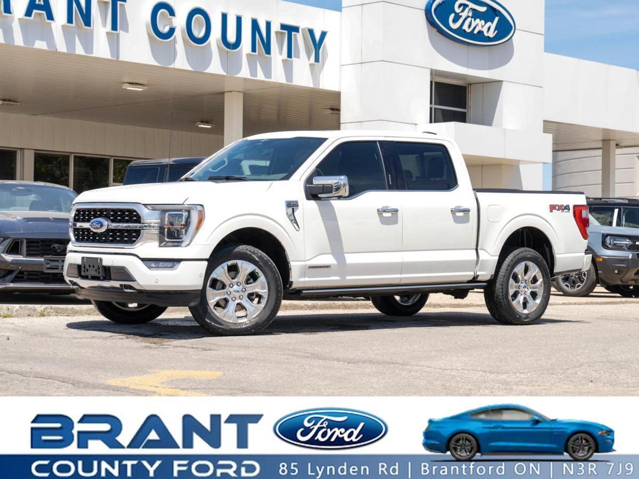 2023 Ford F-150 PLATINUM HYBRID! Photo