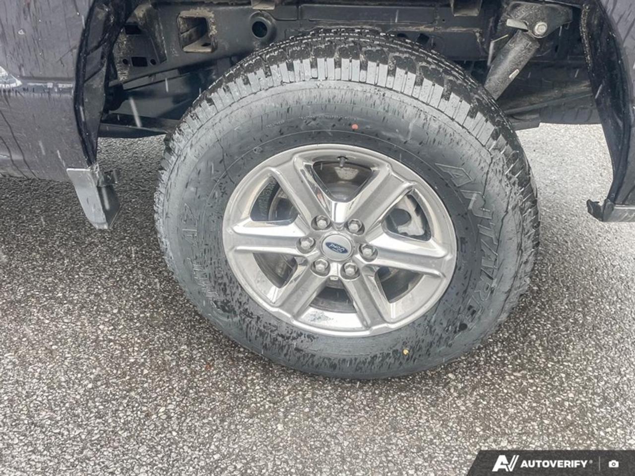2025 Ford F-150 XLT  - Climate Control -  SYNC 4 Photo