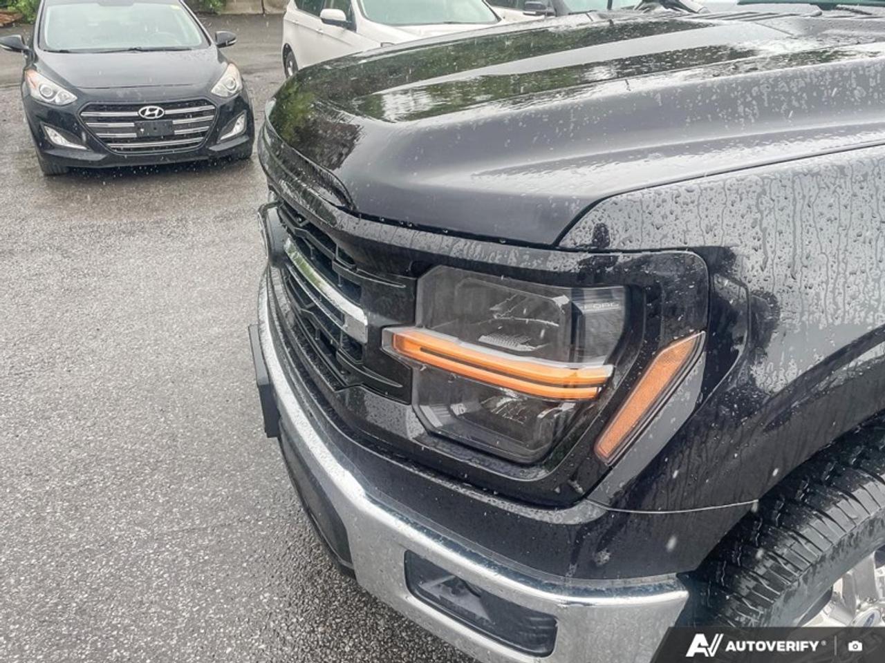 2025 Ford F-150 XLT  - Climate Control -  SYNC 4 Photo