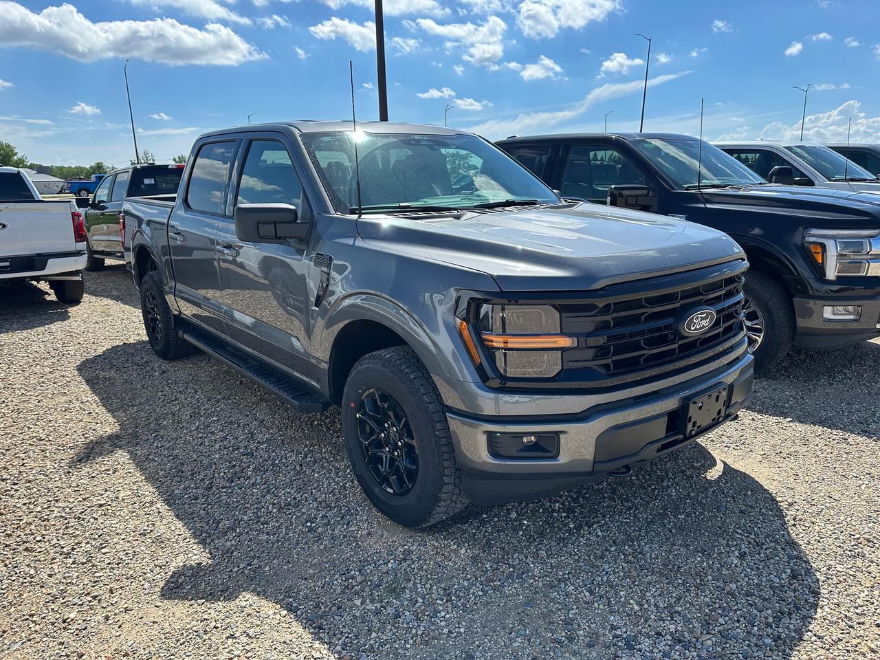 2026 Ford F-150 XLT 4WD SuperCrew 5.5' Box 301A Photo5