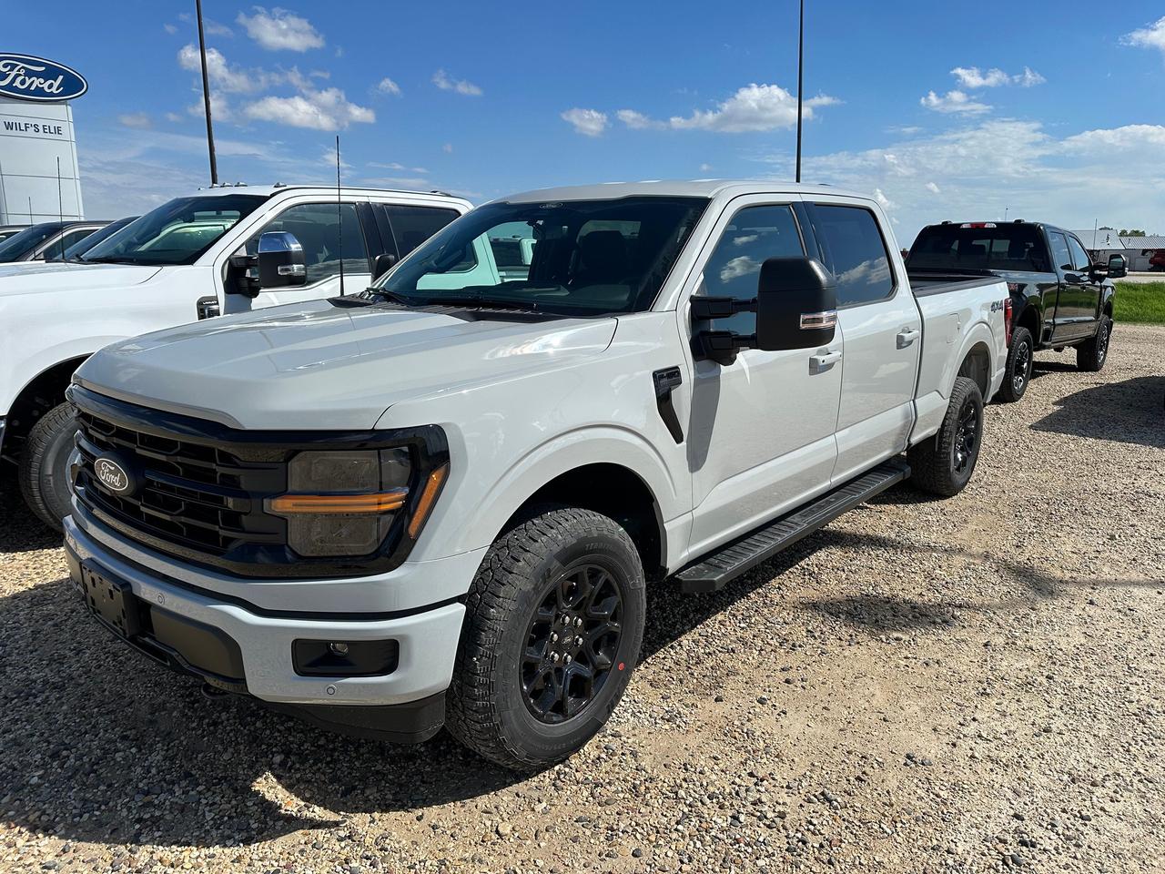 2026 Ford F-150 XLT 4WD SuperCrew 6.5' Box 302A Photo