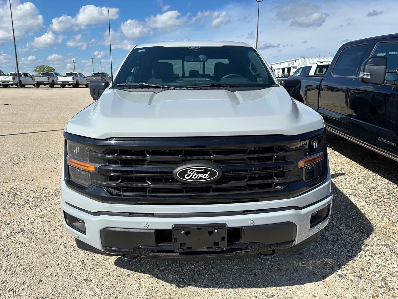 2026 Ford F-150 XLT 4WD SuperCrew 5.5' Box 302A Photo1