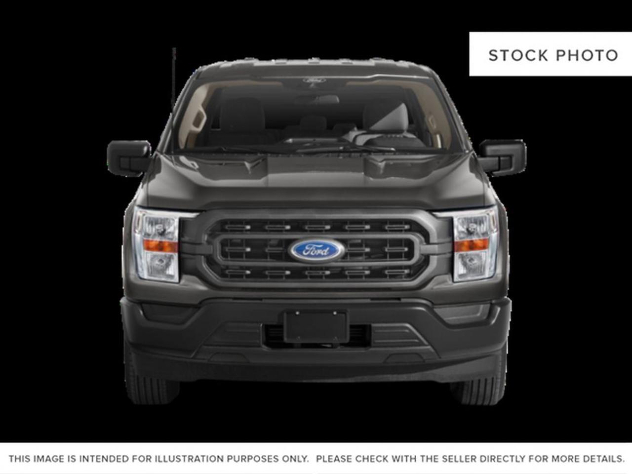 2023 Ford F-150 XLT Photo4