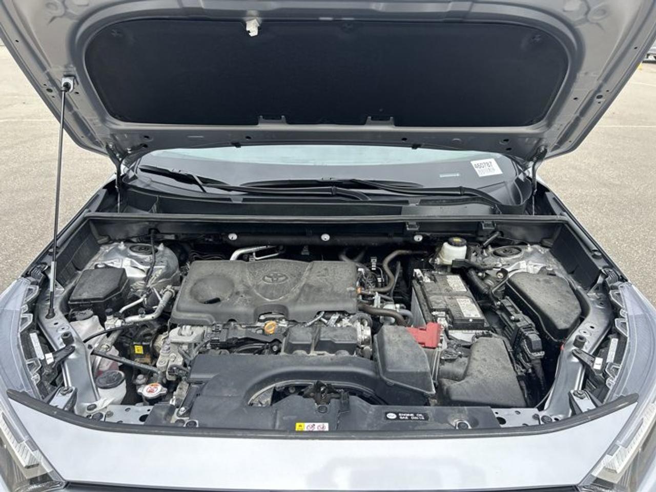 2025 Toyota RAV4 XLE AWD | No Accidents | Sunroof | Heated Steering Photo