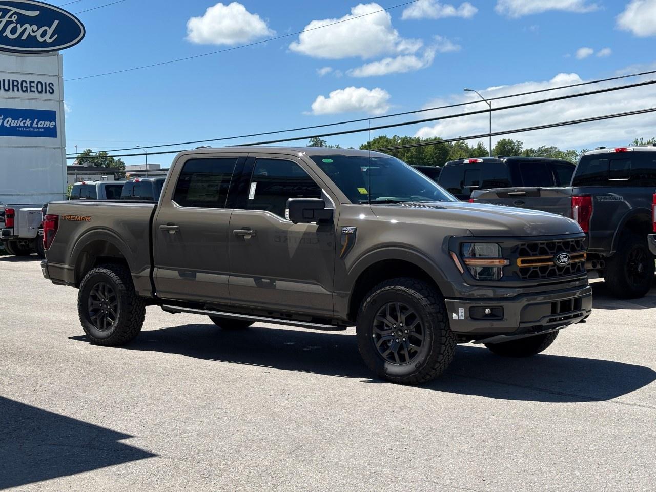 2026 Ford F-150 Tremor 4WD SuperCrew 5.5' Box Photo