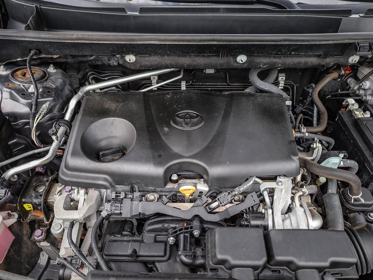 2020 Toyota RAV4 LE NO ACCIDENTS-HEATED CLOTH SEATS-LANE KEEP ASSIST-BACK UP CAMERA- Photo